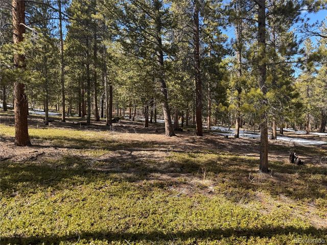 18961 Wagon Trl, Buena Vista, CO 81211