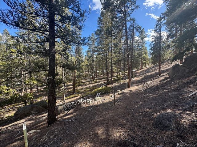 18961 Wagon Trl, Buena Vista, CO 81211