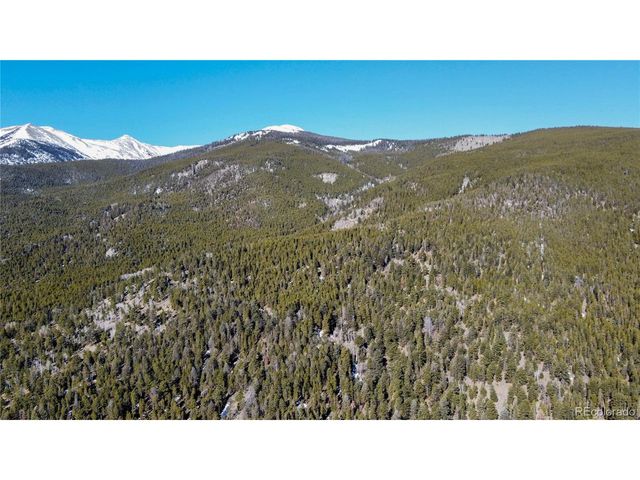 18961 Wagon Trl, Buena Vista, CO 81211