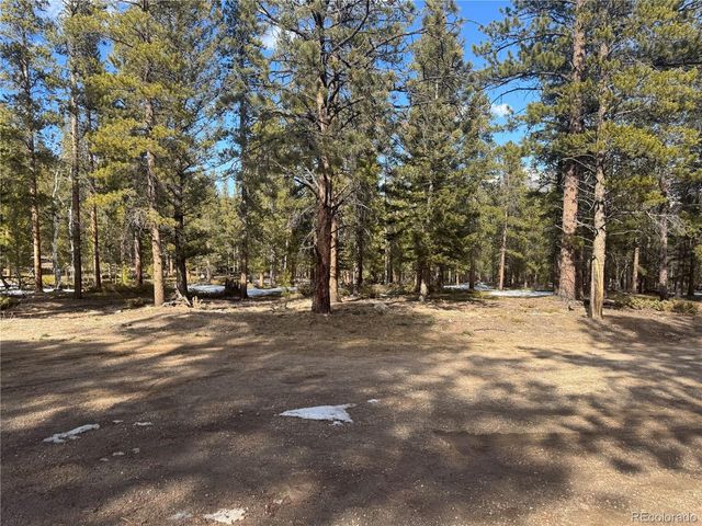 18961 Wagon Trl, Buena Vista, CO 81211