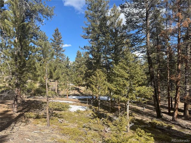 18961 Wagon Trl, Buena Vista, CO 81211