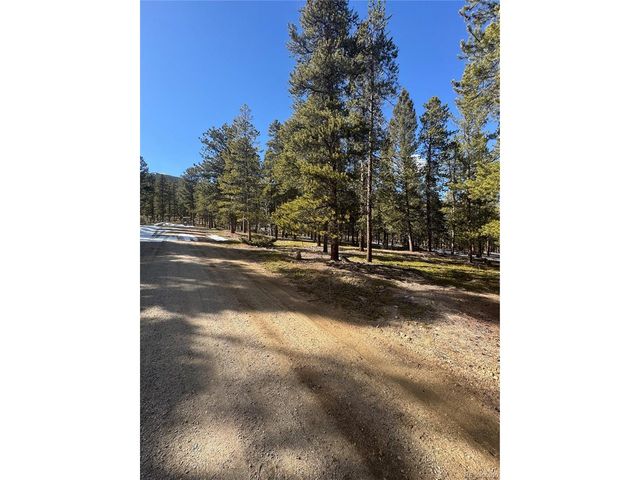 18961 Wagon Trl, Buena Vista, CO 81211