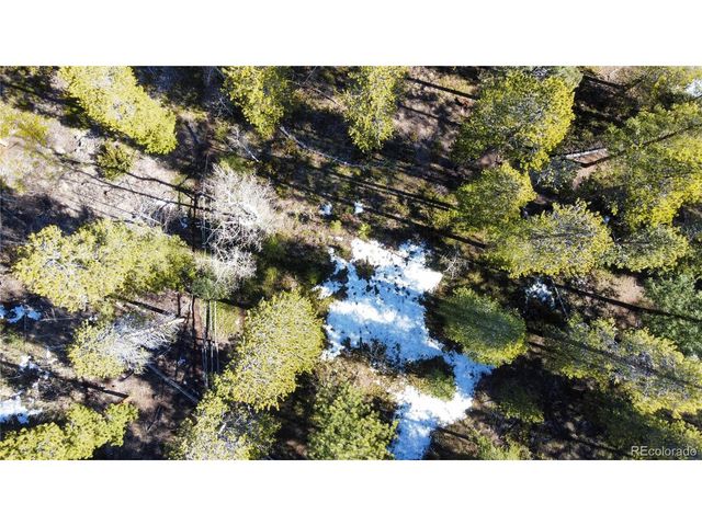 18961 Wagon Trl, Buena Vista, CO 81211