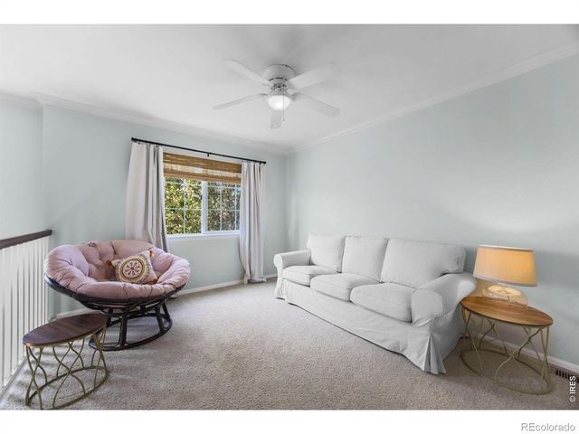 6386 Mayfair Avenue, Timnath, CO 80547