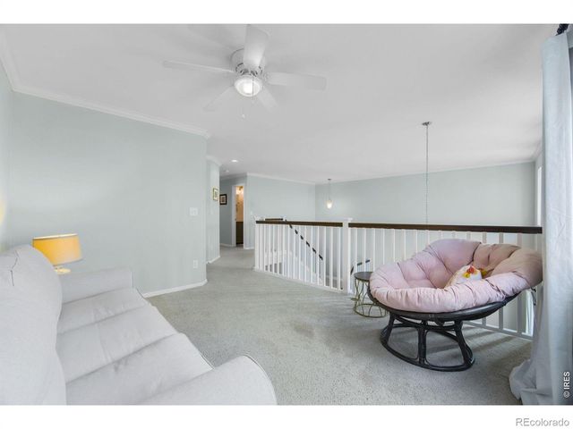 6386 Mayfair Avenue, Timnath, CO 80547