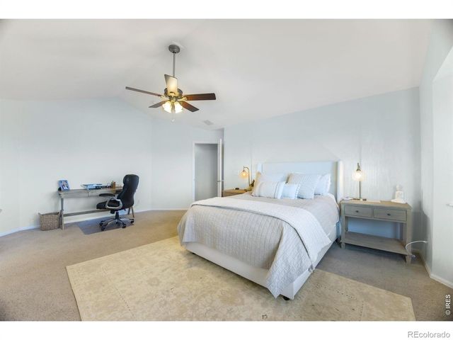 6386 Mayfair Avenue, Timnath, CO 80547