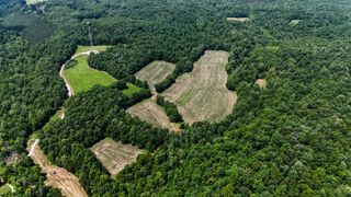 0 Grandaddy Rd, Lawrenceburg, TN 38464