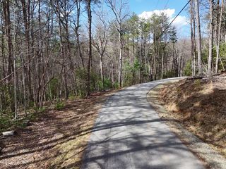 LL321 Turkey Trot, Blairsville, GA 30512