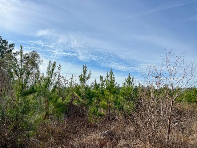 T-2 Tall Cotton Road, Saratoga, TX 77585