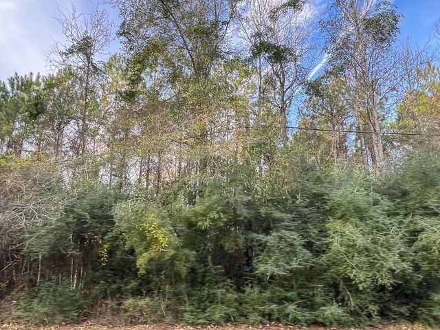 T-2 Tall Cotton Road, Saratoga, TX 77585