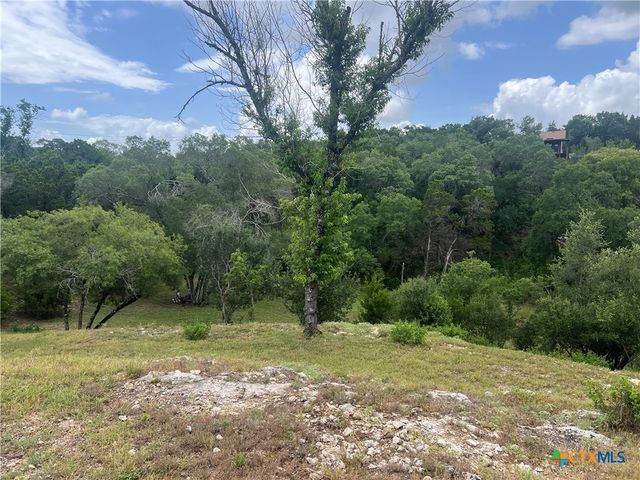 439 Twilight Drive, Canyon Lake, TX 78133