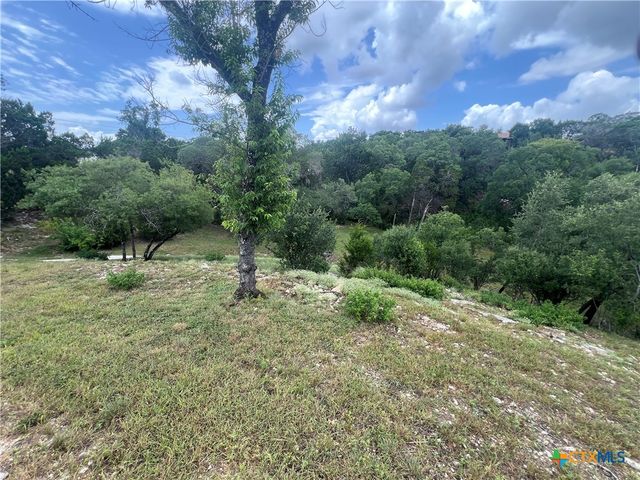 439 Twilight Drive, Canyon Lake, TX 78133
