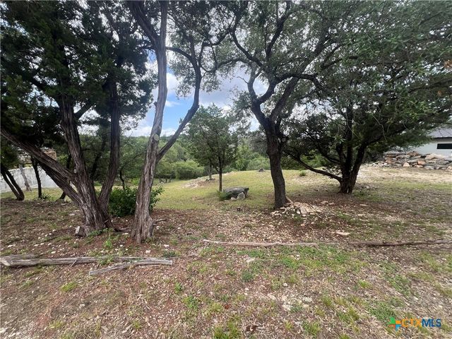 439 Twilight Drive, Canyon Lake, TX 78133