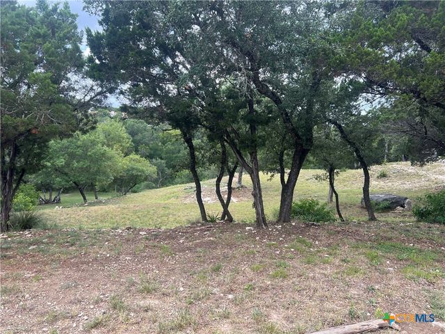 439 Twilight Drive, Canyon Lake, TX 78133