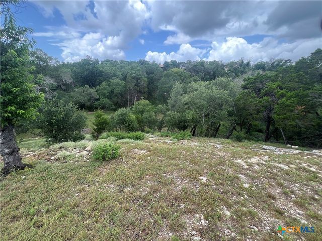 439 Twilight Drive, Canyon Lake, TX 78133