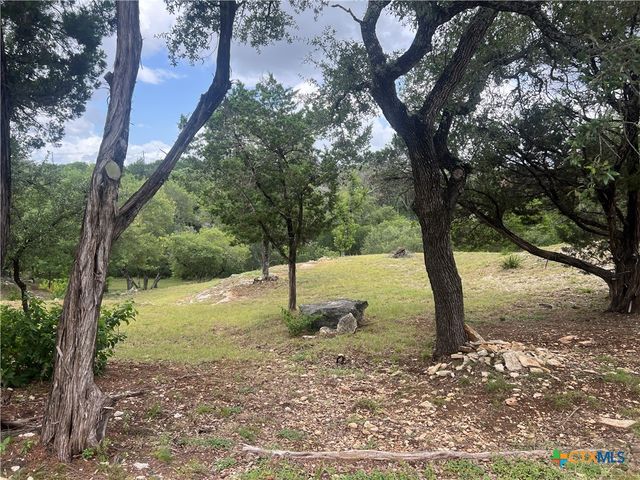 439 Twilight Drive, Canyon Lake, TX 78133