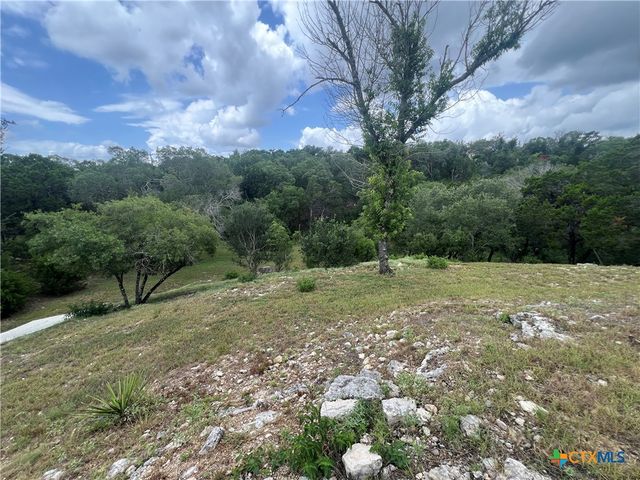 439 Twilight Drive, Canyon Lake, TX 78133