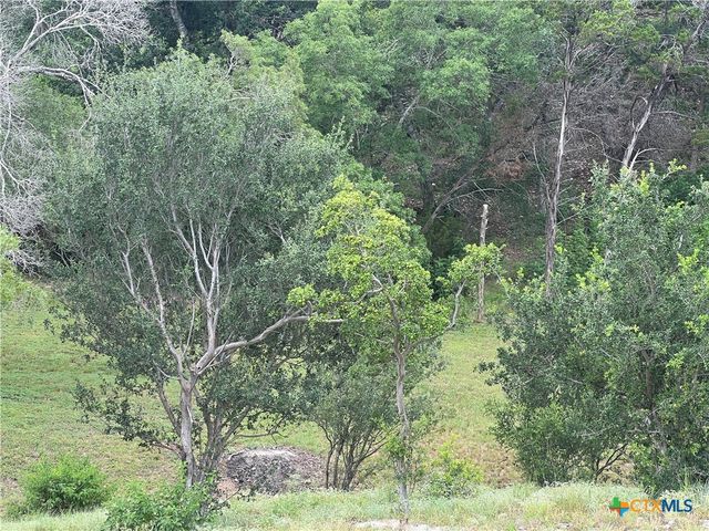 439 Twilight Drive, Canyon Lake, TX 78133