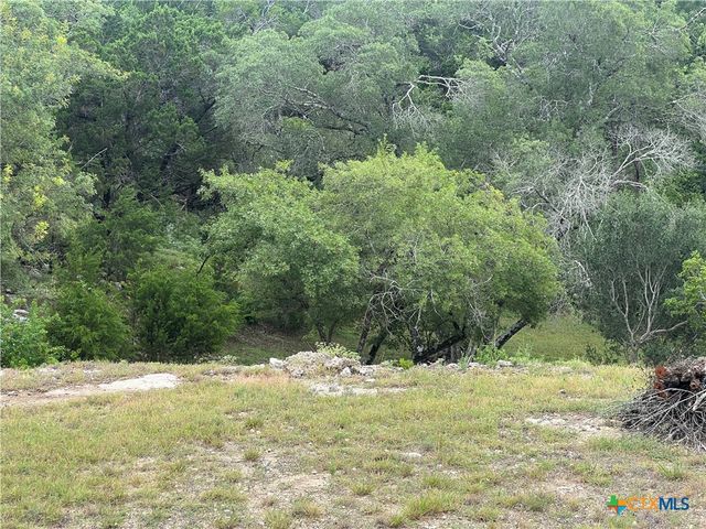 439 Twilight Drive, Canyon Lake, TX 78133