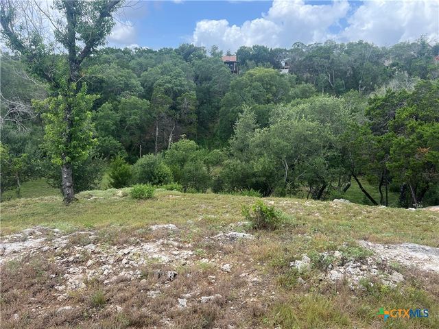 439 Twilight Drive, Canyon Lake, TX 78133