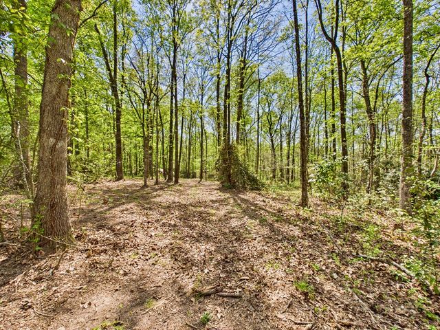 233 Ga Highway 0315, Fortson, GA 31808