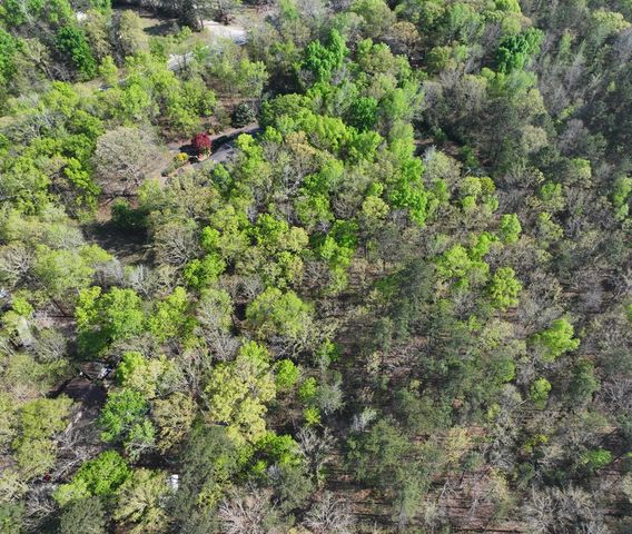 233 Ga Highway 0315, Fortson, GA 31808