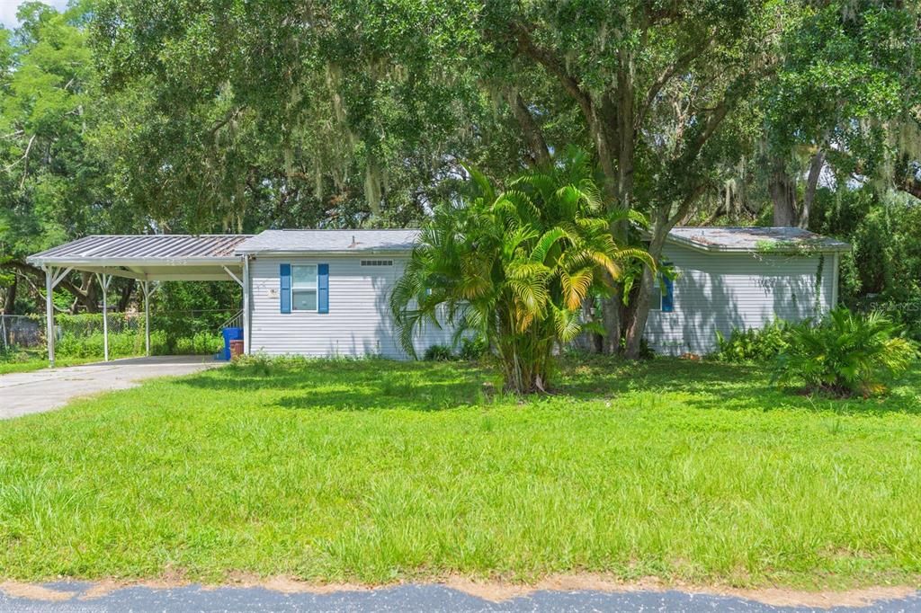 9117 WOOD TERRACE DRIVE, Tampa, FL 33637