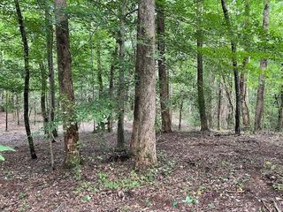 822 Myers Cove Rd, Mcminnville, TN 37110