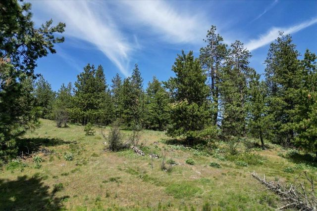 XXXXXX Custer Ln, Spokane, WA 99223