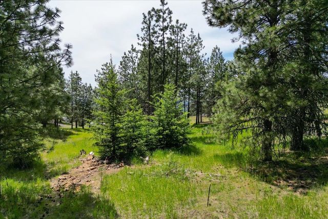 XXXXXX Custer Ln, Spokane, WA 99223