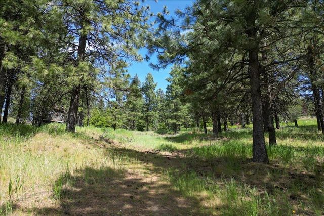 XXXXXX Custer Ln, Spokane, WA 99223