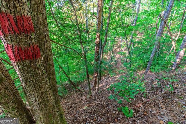 LOT 50 Jakes Landing Way, Ellijay, GA 30540