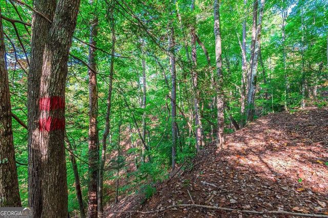 LOT 50 Jakes Landing Way, Ellijay, GA 30540