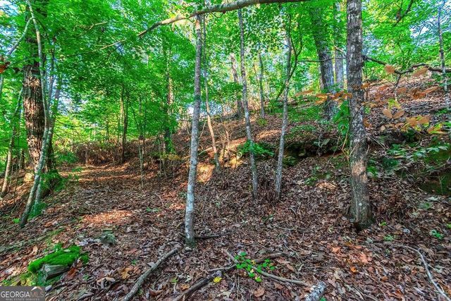 LOT 50 Jakes Landing Way, Ellijay, GA 30540