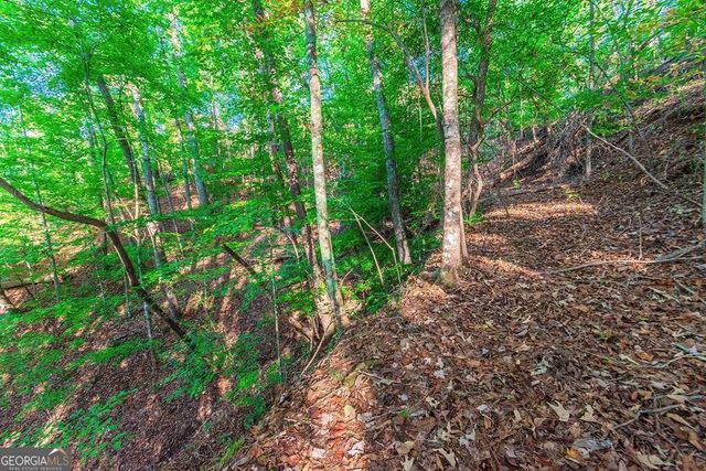 LOT 50 Jakes Landing Way, Ellijay, GA 30540