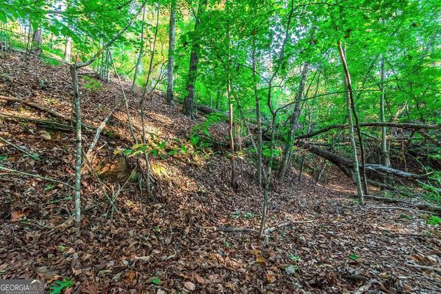 LOT 50 Jakes Landing Way, Ellijay, GA 30540