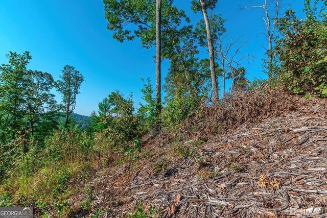 LOT 50 Jakes Landing Way, Ellijay, GA 30540