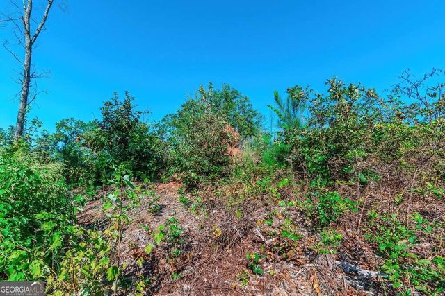 LOT 50 Jakes Landing Way, Ellijay, GA 30540