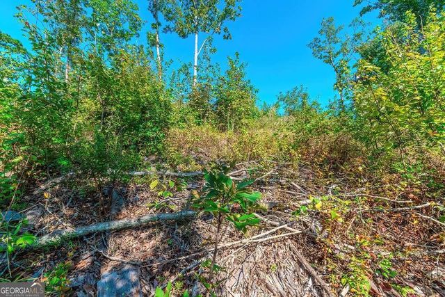 LOT 50 Jakes Landing Way, Ellijay, GA 30540