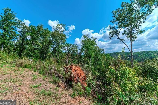 LOT 50 Jakes Landing Way, Ellijay, GA 30540