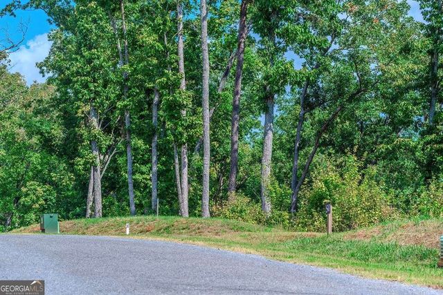 LOT 50 Jakes Landing Way, Ellijay, GA 30540