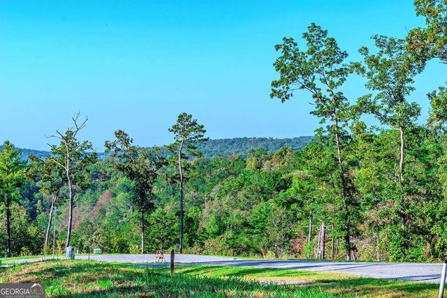 LOT 50 Jakes Landing Way, Ellijay, GA 30540