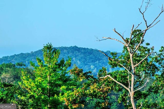 LOT 50 Jakes Landing Way, Ellijay, GA 30540