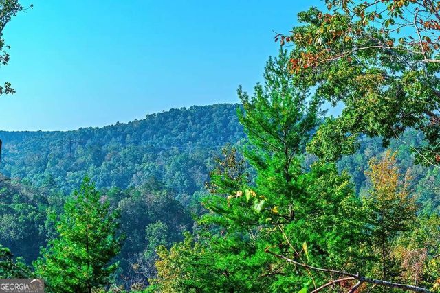 LOT 50 Jakes Landing Way, Ellijay, GA 30540