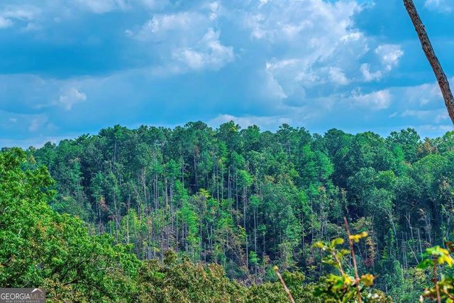 LOT 50 Jakes Landing Way, Ellijay, GA 30540