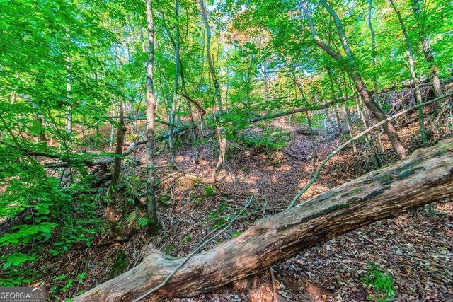 LOT 50 Jakes Landing Way, Ellijay, GA 30540