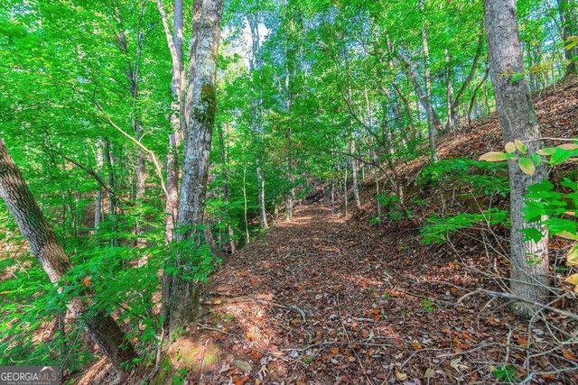 LOT 50 Jakes Landing Way, Ellijay, GA 30540