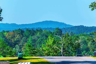 LOT 50 Jakes Landing Way, Ellijay, GA 30540