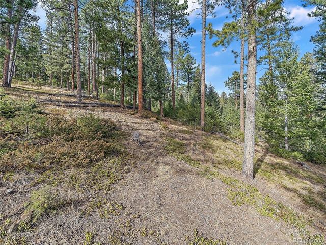 6752 S Columbine Rd, Evergreen, CO 80439
