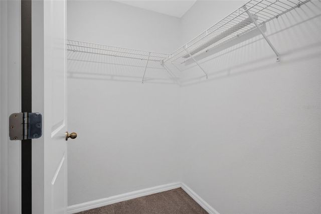 7617 GINGER LILY COURT, Tampa, FL 33619